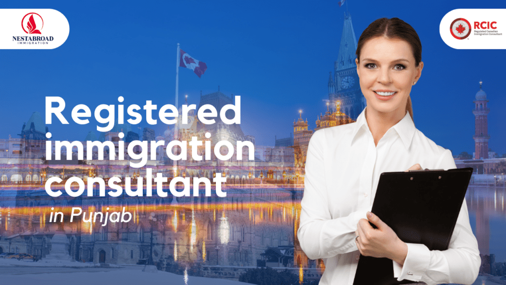 Why You Need a Registered Immigration Consultant in Punjab?
