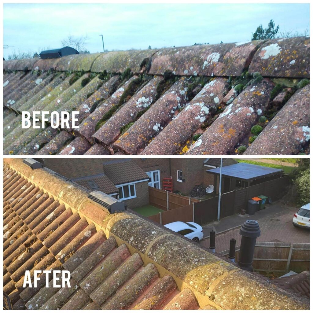 How to Extend the Lifespan of Your Roof with Proper Maintena