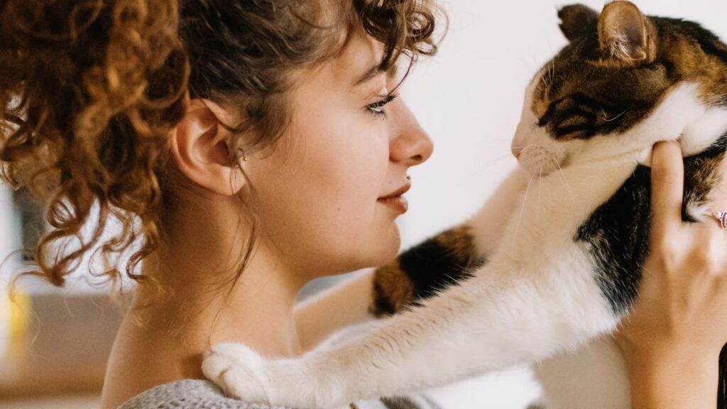 Affordable Cat Sitting in Dubai: Find the Perfect Sitter Tod