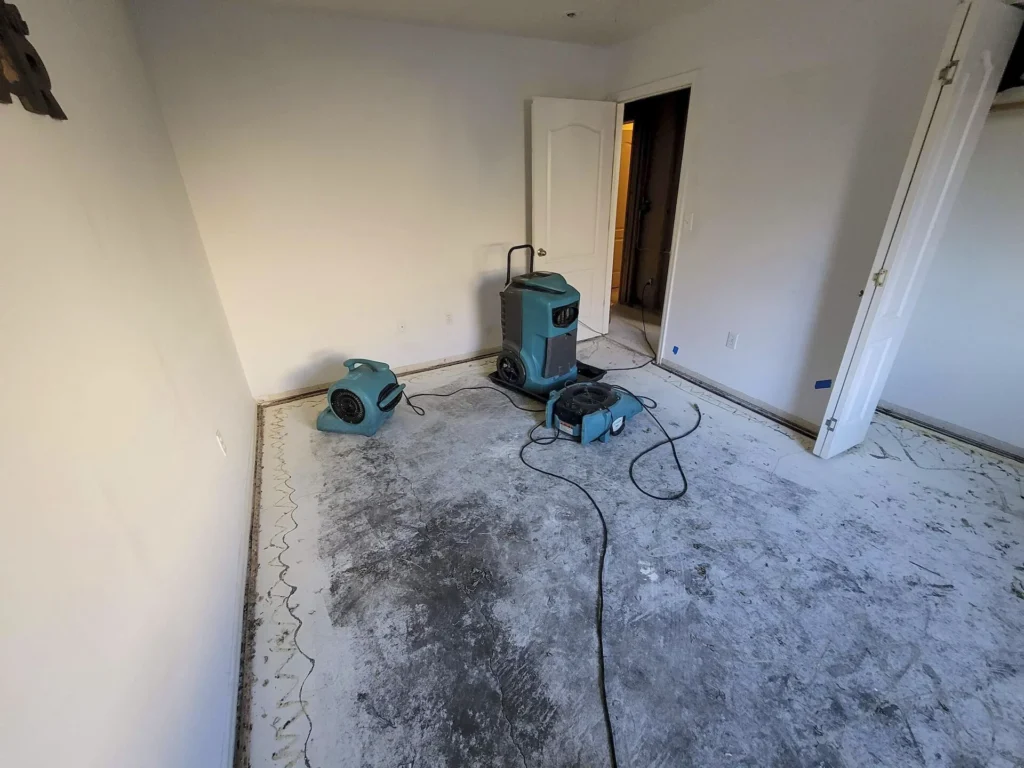Best Water Damage Restoration Service Los Angeles