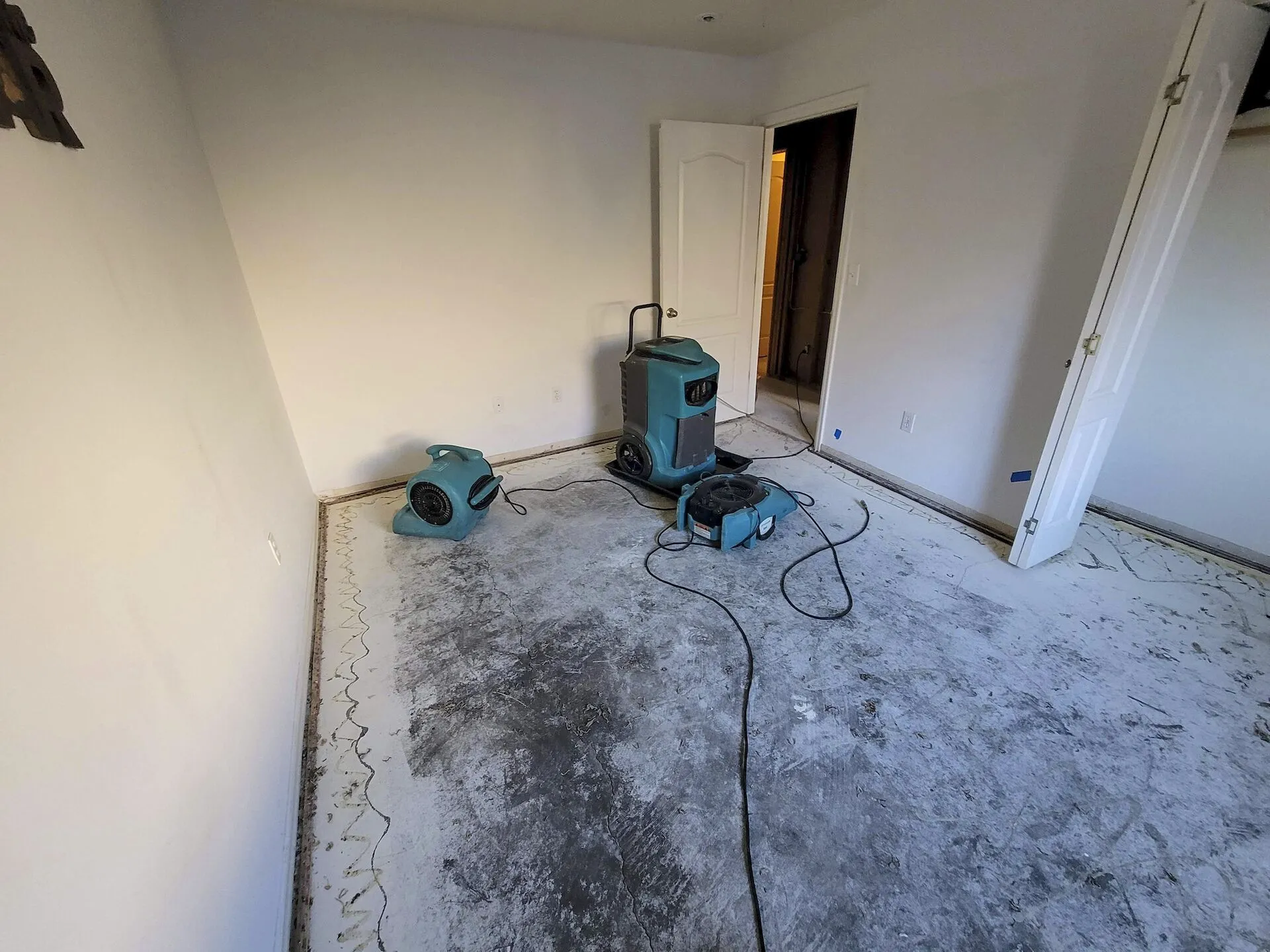 Best Water Damage Restoration Service Los Angeles
