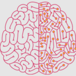Brain Coach LLC