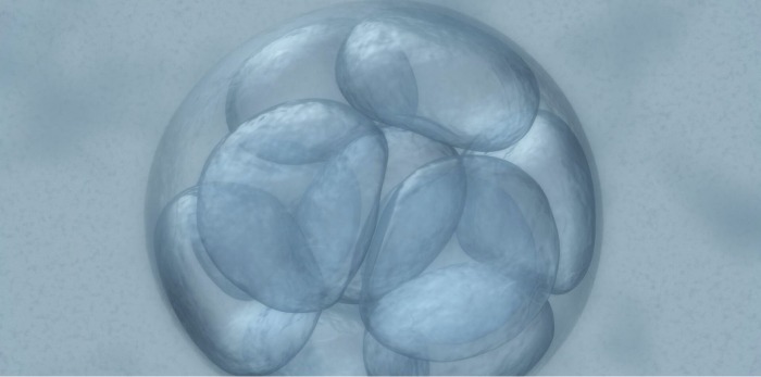 What To Expect At Your First Fertility Consultation?