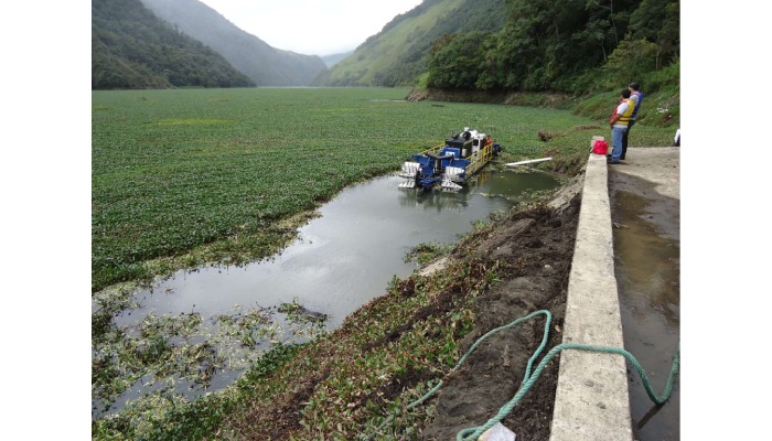 The Environmental Benefits of Vegetation Dredging