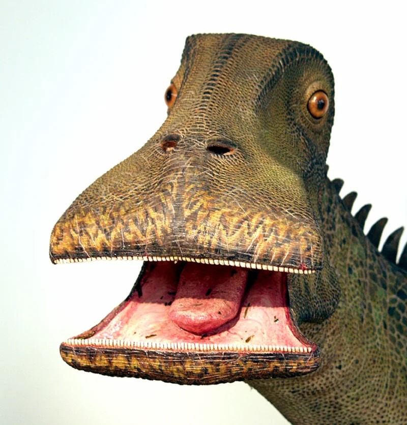 What Dinosaur Has 500 Teeth? Unraveling the Mystery Behind the Mighty Nigersaurus