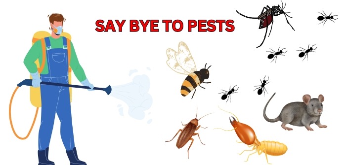 Get the Best Pest Control Services in Gurgaon