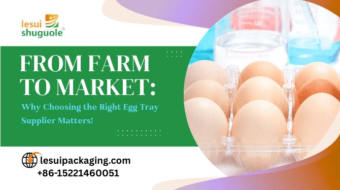 From Farm to Market: Why Choosing the Right Egg Tray Supplier Matters!