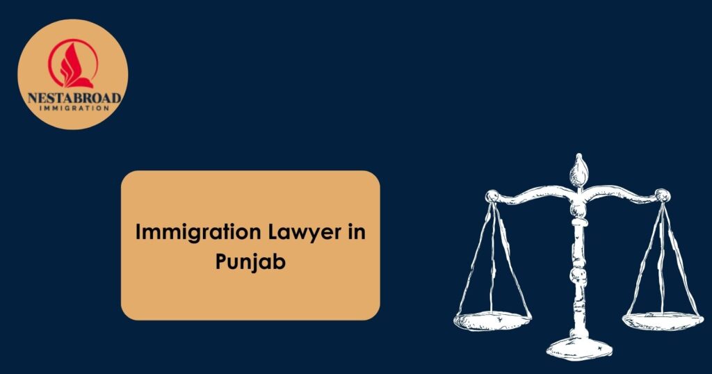 Your Trusted Partner in Immigration: Expert Guidance