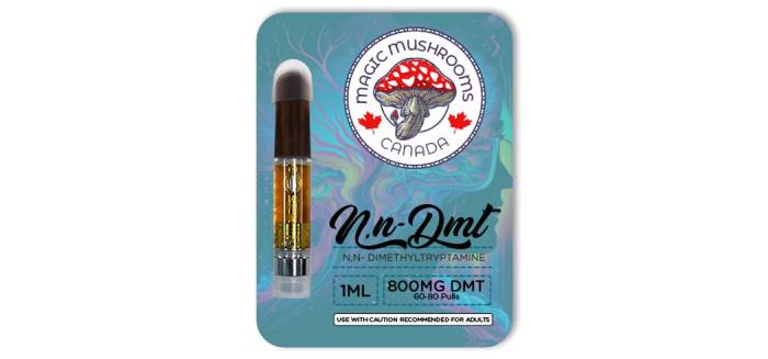 A Beginner’s Guide to Ordering DMT in Canada