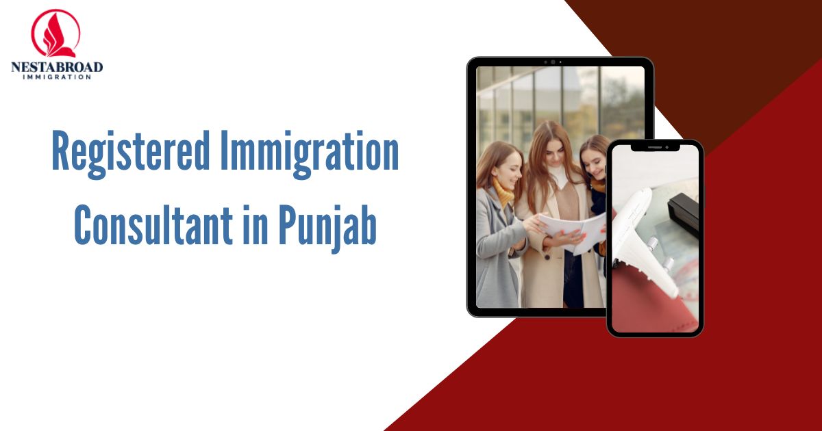 Why Do You Need Registered Immigration Consultant in Punjab?