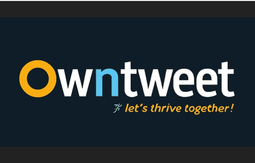 Digital Marketing with Owntweet Empowering Businesses throug