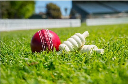 Unlocking the Future of Online Cricket Betting with Tiger Exchange 247.VIP and AmiriBook