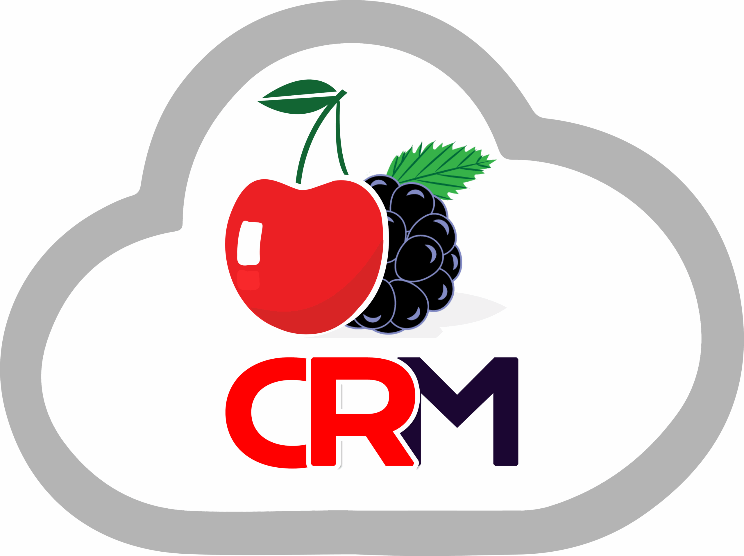 CRM Software Development Company in Lahore