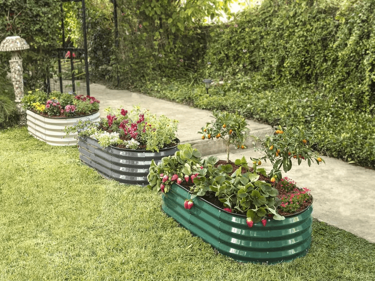 Raised Garden Bed vs. In-Ground Gardening: Which Is Better?