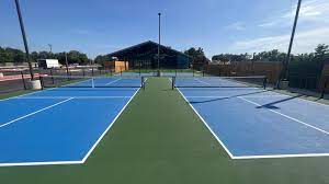 Pickleball Court Craze: What to Know Before You Build
