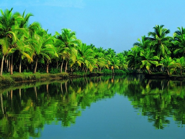 Kerala: A Peaceful Escape into Nature’s Lap