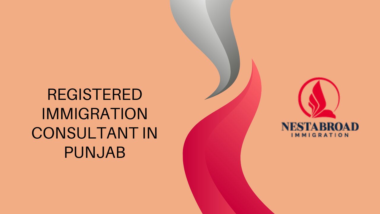 The Role of a Registered Immigration Consultant Explained