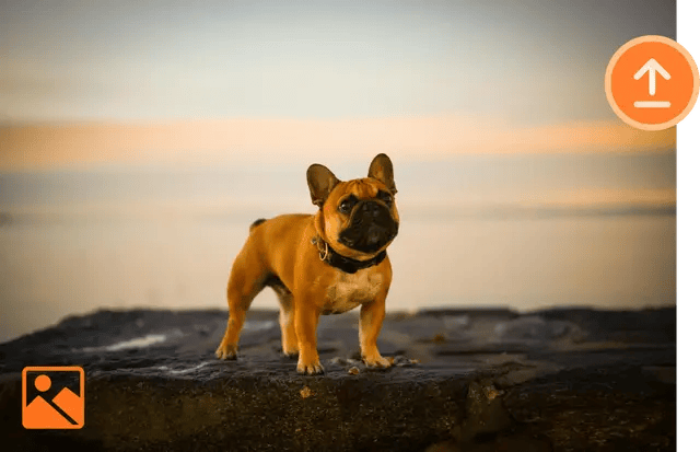 Instant Background Remover for Clean Images