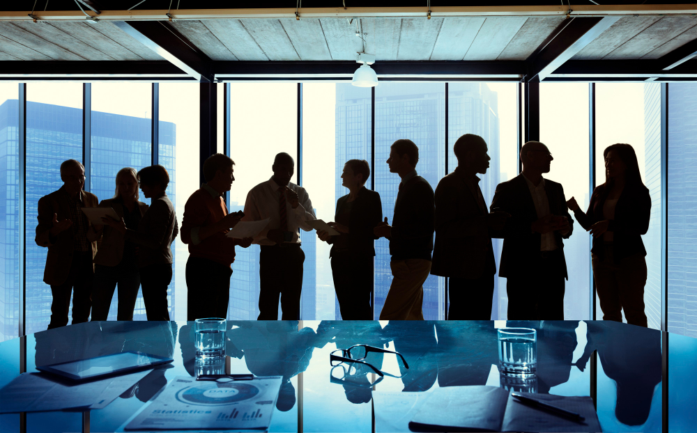Understanding the Legal Structures of Business Organizations
