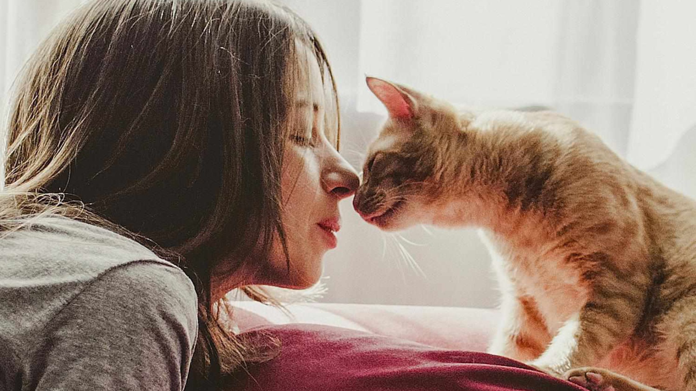 How Do You Choose Between a Cat Sitter and a Boarding Facility in New York?
