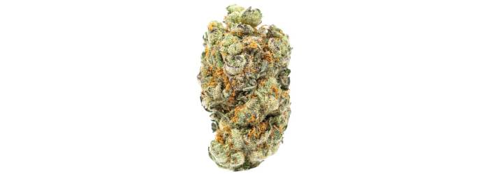 How to Store CBD Flower for Maximum Freshness?