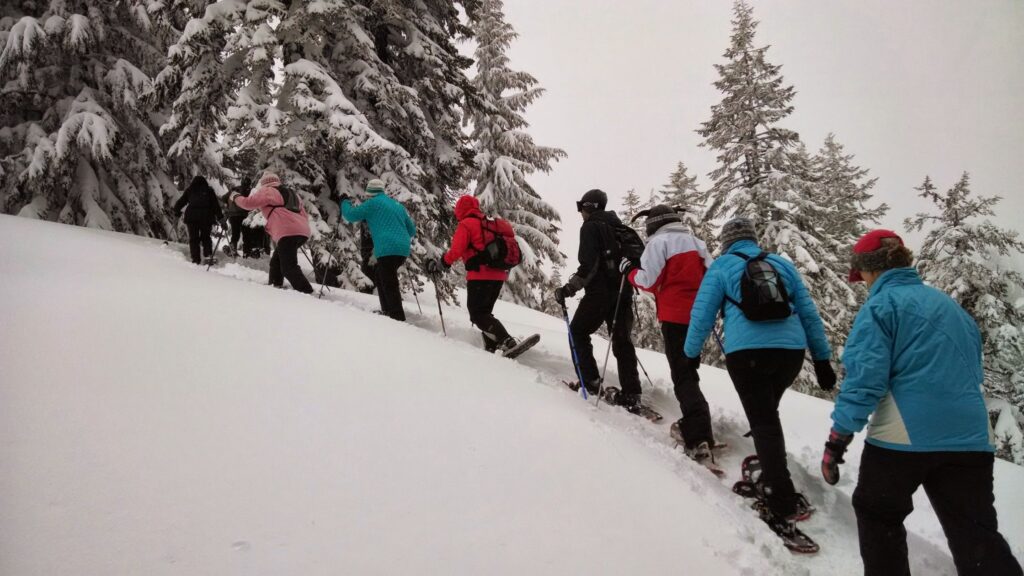 Turkey Tour Packages: Family & Group Holidays – Tripkaro