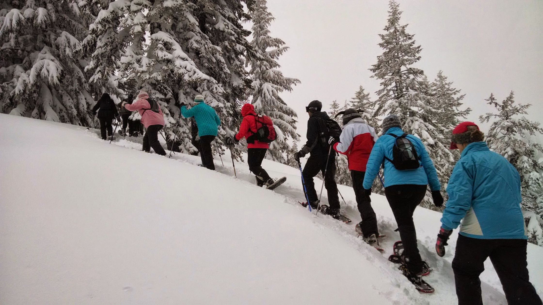 Turkey Tour Packages: Family & Group Holidays – Tripkaro
