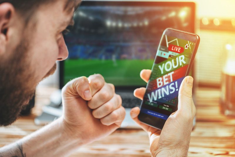 Why Ace’s Baseball Bookie Software Hits a Home Run Every Sea