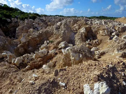 Critical Mineral, Critical Market: Navigating Phosphate Rock’s Role in Global Agriculture