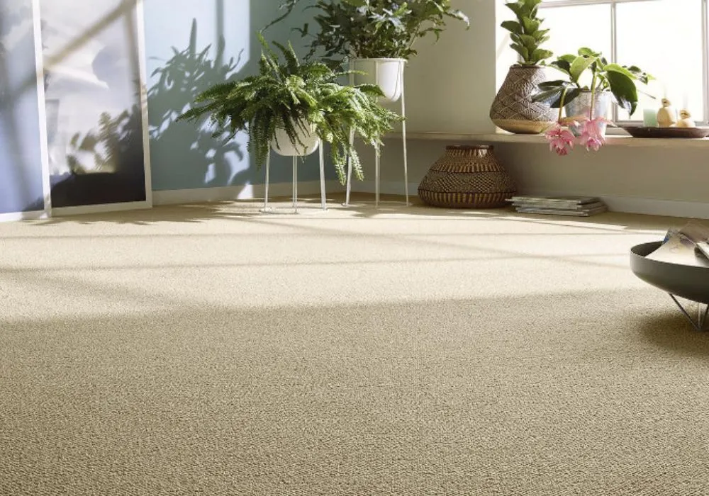 Transform Your Interiors with Stylish Wall to Wall Carpet in