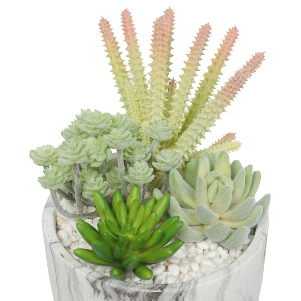 Order Beautiful Artificial Succulents Online for Instant